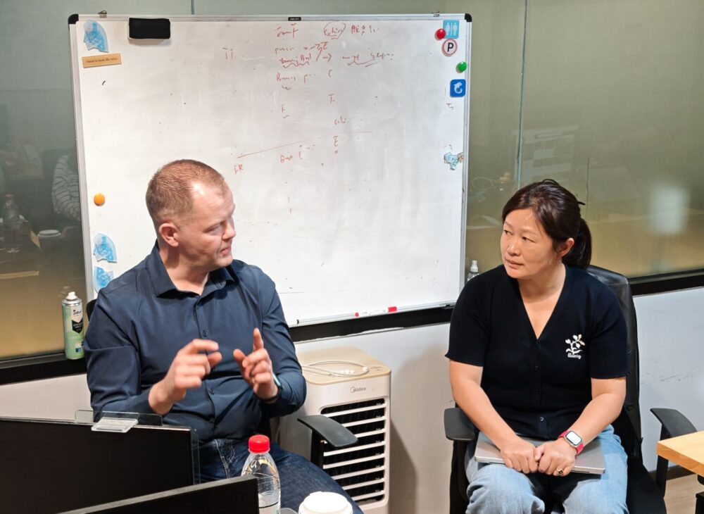 alternative interlining